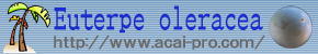 ATC[v